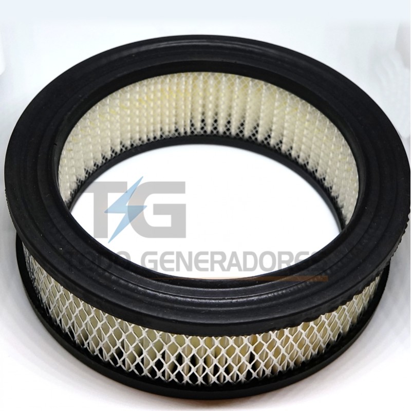 Filtro de Aire 